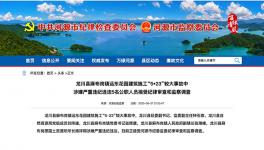 8死1傷事故，5名公職人員涉違紀(jì)被調(diào)查！