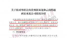 海螺創(chuàng)業(yè)擬對(duì)外轉(zhuǎn)讓這兩家公司100%股權(quán)！
