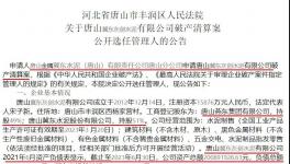 冀東水泥旗下公司破產(chǎn)清算！選聘專業(yè)機(jī)構(gòu)
