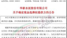 大事！海螺“出手”華新！