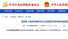 突發(fā)！海螺原董事長(zhǎng)被查！