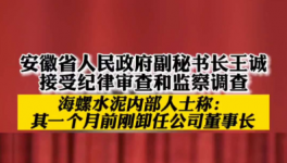 立案！海螺、華新、華潤(rùn)等多位高管被查！