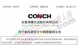 海螺水泥擬發(fā)行不超100億票據！