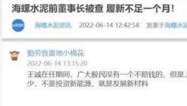 海螺蒸發(fā)1300億，逾700億元投資或存變數(shù)！