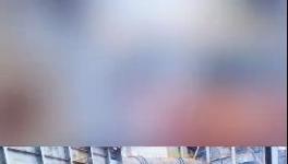 殺公雞！開窯！水泥廠“辟邪”！