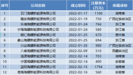 瘋狂！海螺成立96家“能源”公司！