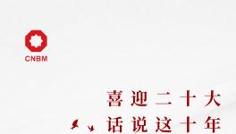 喜迎二十大:話說這十年，專業(yè)化整合深入推進 產業(yè)布局不斷優(yōu)化
