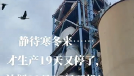 全停！最長200天！20個省水泥廠停產(chǎn)！