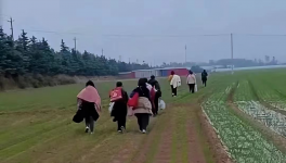 反撲！多省工地停工！水泥廠停發(fā)！商混站“告急”！