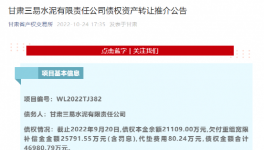公告！多家水泥廠被賣！
