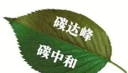 縫出匠心！這家環(huán)保企業(yè)脫穎而出！市場占有率名列前茅！