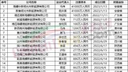 瘋狂！“上下”通吃！海螺連續(xù)成立50多家公司！