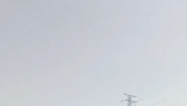 太慘！210元/噸低價(jià)水泥“傾銷”！停產(chǎn)來“救市”！
